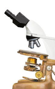 Microscope (photo) Microscope (photo)