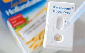 Microbiological food tests with pipet (photo)