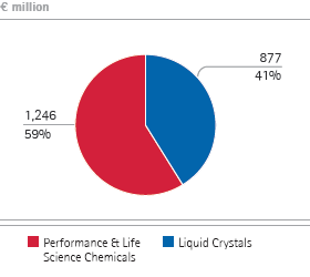 Chemicals &ndash; Total revenues by division (pie chart)