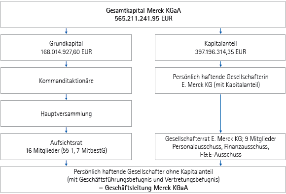 Kapitalstruktur der Merck KGaA zum 30. Juni 2010 (Grafik)