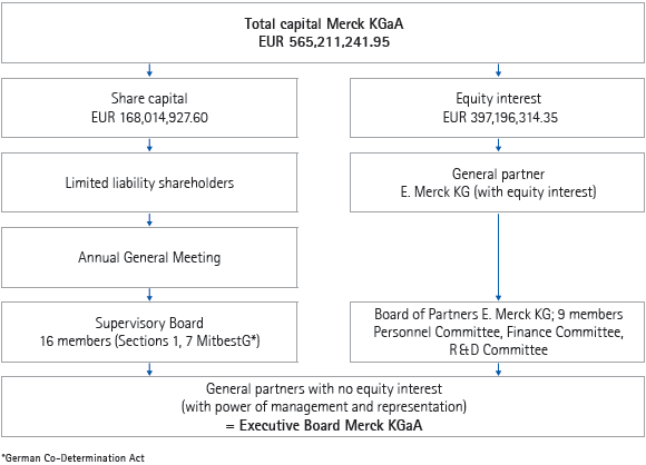 Capital structure of Merck KGaA as of June 30, 2010 (graphics)