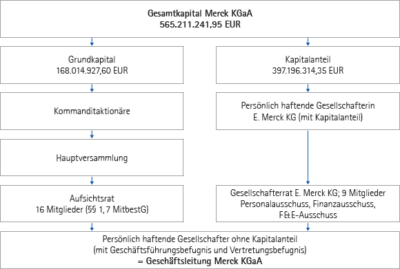 Kapitalstruktur der Merck KGaA zum 31. M&auml;rz 2011 (Grafik)