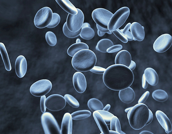 Bioethics | We take a clear position on bioethical issues. (Picture)
