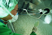 Product safety | Our products are subjected to strict quality controls. (Picture)