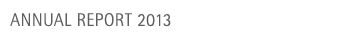 Annual Report 2013