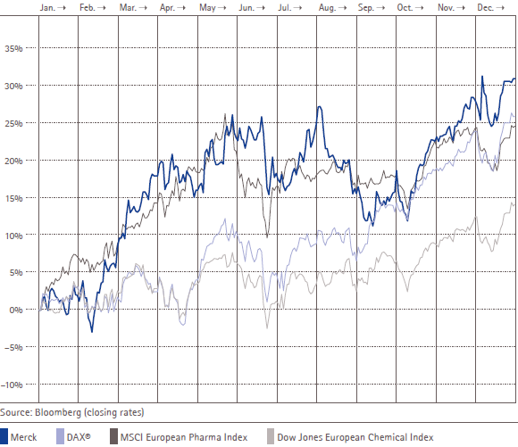 Share price development from January 1, 2013 to December 31, 2013 (line graph)