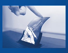 OLED &ndash; Display (graphic)