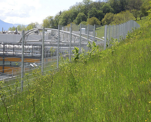 Biodiversity | A landscape plan at our site in Corsier-sur-Vevey ensures that the bordering alpine meadows are preserved. (Picture)
