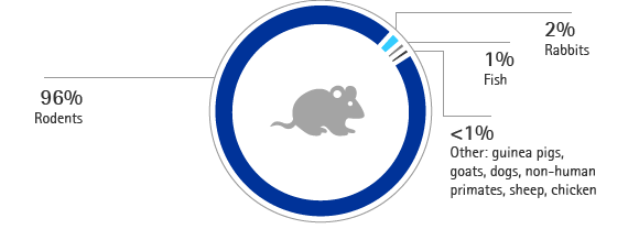 Animal species (pie chart)